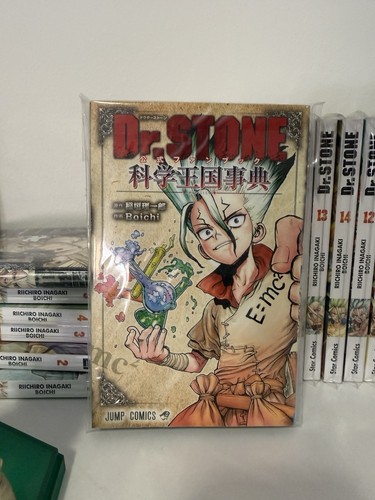 Stone 1ª ed - dr.,
