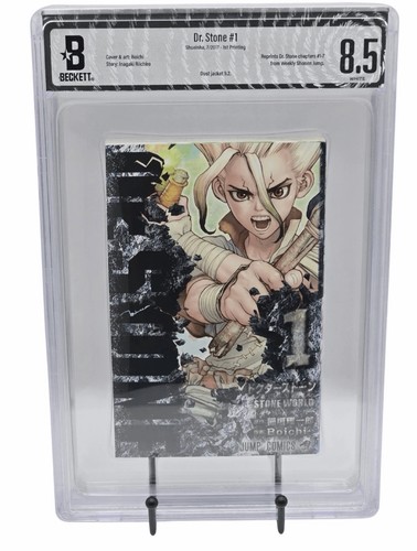 Stone vol bgs 8 5 - stone, 8.5