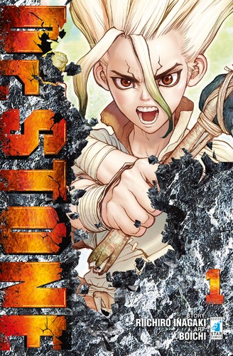 Stone limited cover - dr.,